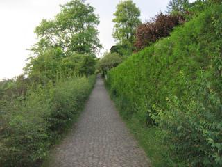 IMG_7839.JPG