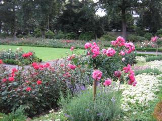 IMG_7847.JPG