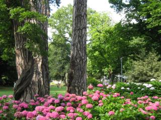 IMG_7474.JPG