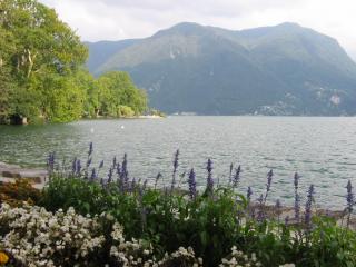 IMG_7467.JPG
