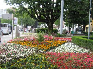 IMG_7504.JPG