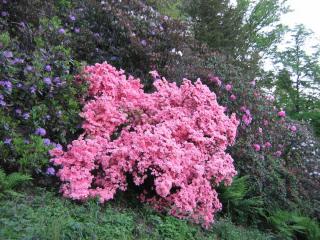 IMG_7152.JPG