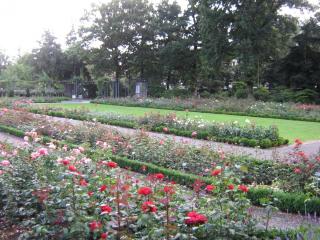 IMG_7846.JPG