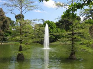 IMG_6500.JPG