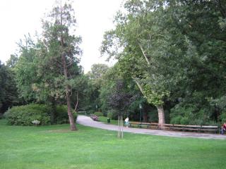 IMG_8561.JPG