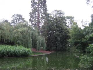 IMG_8562.JPG