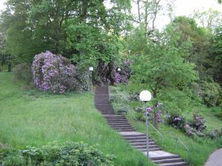 IMG_7154.JPG