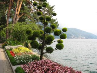 IMG_7478.JPG
