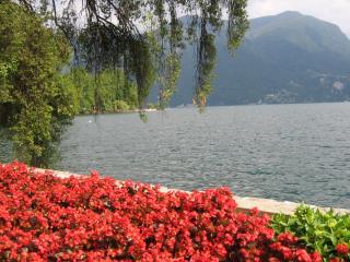 IMG_7466.JPG