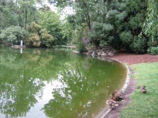 IMG_8557.JPG