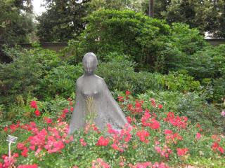 IMG_7866.JPG