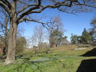 IMG_0223.JPG