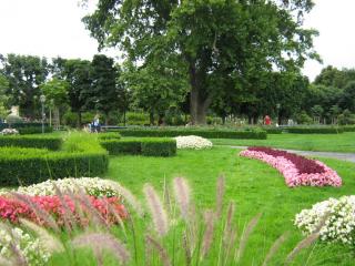IMG_8533.JPG