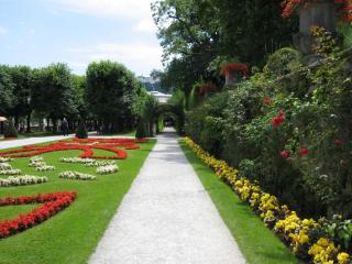 IMG_8440.JPG