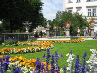 IMG_8413.JPG