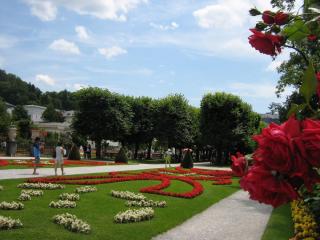 IMG_8441.JPG