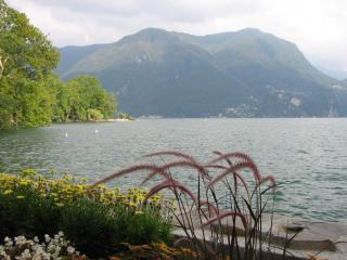 IMG_7468.JPG