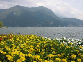 IMG_7462.JPG
