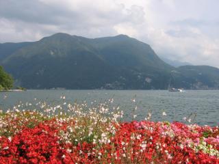 IMG_7456.JPG