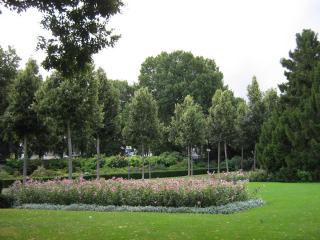 IMG_7845.JPG