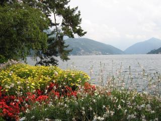 IMG_7479.JPG