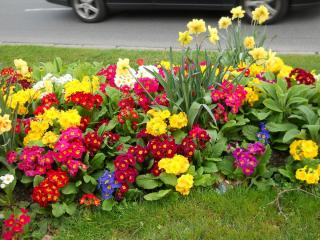 2012-04-15 19-43-54.JPG