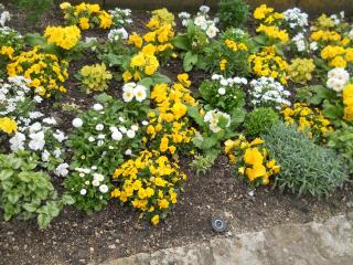 2012-04-15 18-44-50.JPG