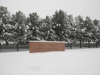 форум 2013 001.JPG