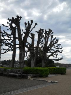 2012-04-15 18-45-58.JPG