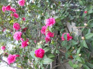 2012-04-14 21-14-32.JPG