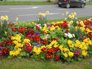 2012-04-15 19-43-42.JPG