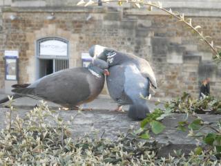 2012-04-14 21-07-46.JPG