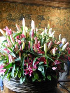2012-04-15 17-14-38.JPG