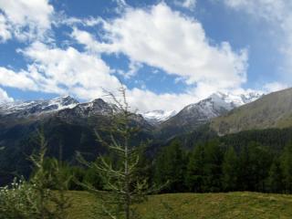 IMG_6963.JPG
