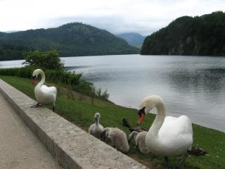 IMG_1184.jpg