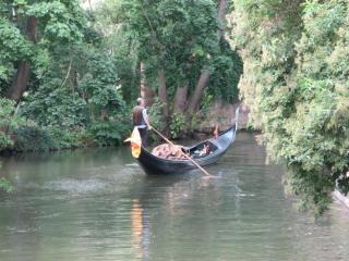 IMG_1553.jpg