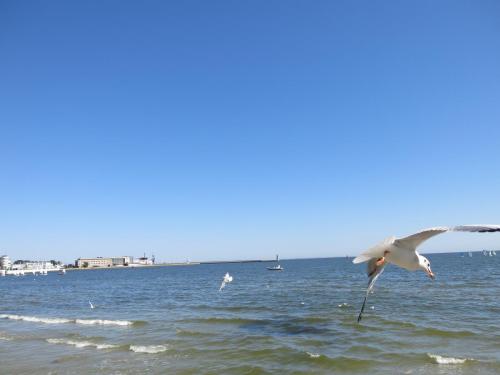 IMG_0726.JPG