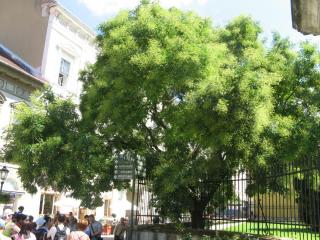 IMG_0094.jpg