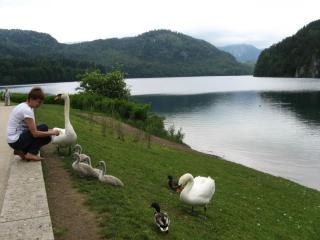 IMG_1177.jpg
