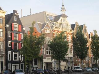 IMG_8993.JPG