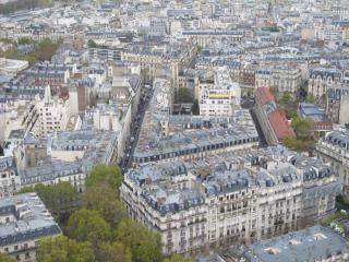 IMG_9818.JPG