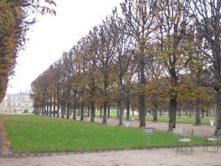 IMG_9690.JPG