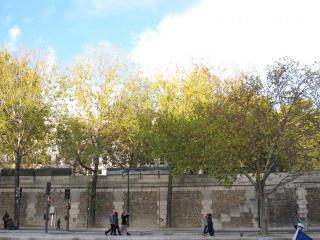 IMG_9428.JPG