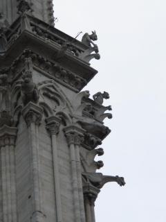 IMG_9645.JPG