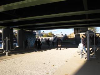 IMG_0342.JPG