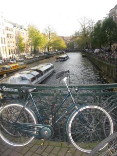 IMG_8953.JPG