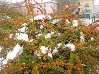 IMG_8642.JPG