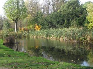 IMG_8900.JPG