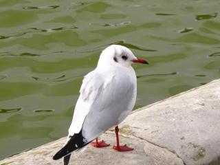 IMG_0250.JPG