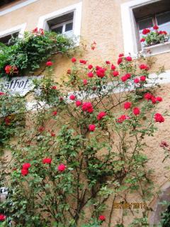 IMG_2110.JPG